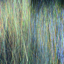 IDM_4_1024x1024_fa455429-8933-4dfe-9778-d56f273839