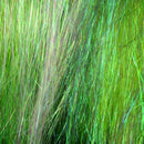 IDM_7_1024x1024_5cb7bc96-ba16-4d8c-9b65-f080882469