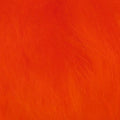 Icelandic Sheep Wool