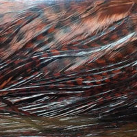 Dry Fly Grizzly Half Saddle Grade #1 | Keough | J Stockard