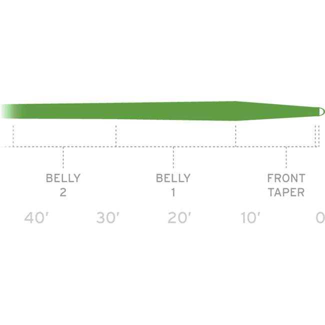 Mastery Trout Fly Line