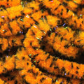 UV Mottled Galaxy Mop Chenille