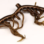 brown olive