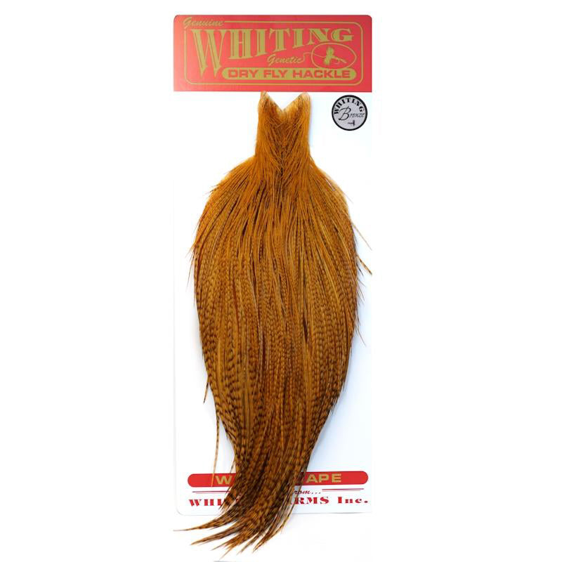 dry-fly-cape-bronze
