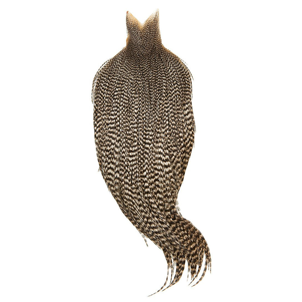 dry-fly-cape-bronze