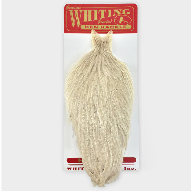 whiting-hen-cape