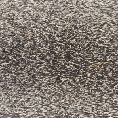 stimulator-deer-hair_NATL