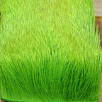 fl. chartreuse