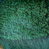 NM-740030-FRGR