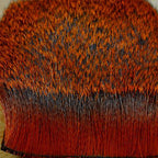 rusty brown