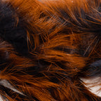 black / orange