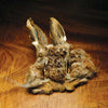 Natural Hare's Mask