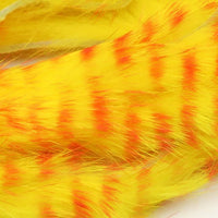 NM-770019-REYL