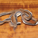 pine-squirrel-strips-3-32