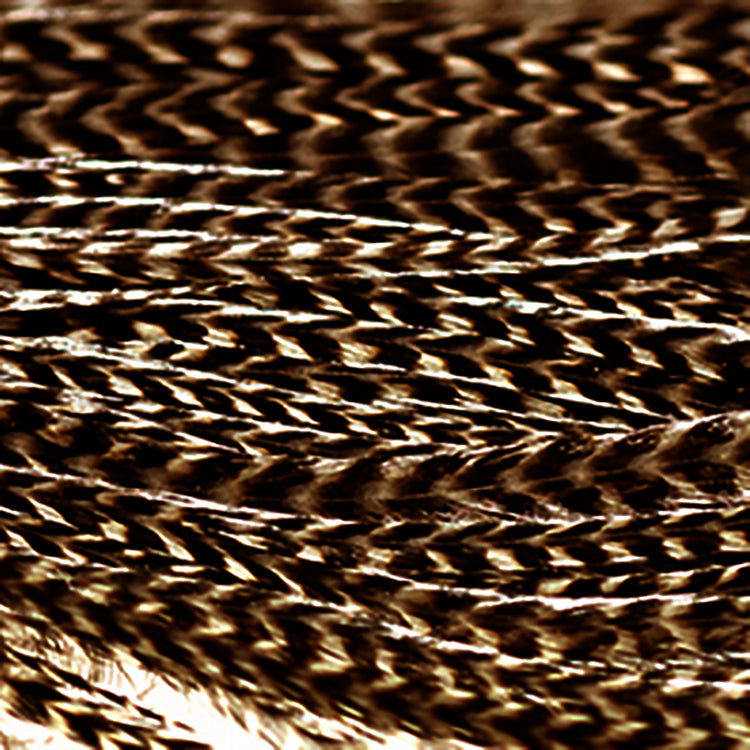 NM-790037-BLCH_8d8970d2-b10d-415d-8f22-9c02e6ddf86
