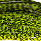 chartreuse