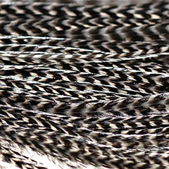 half-grizzly-saddle_NATL