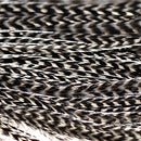 half-grizzly-saddle_NATL