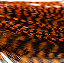 half-grizzly-saddle_ORNG