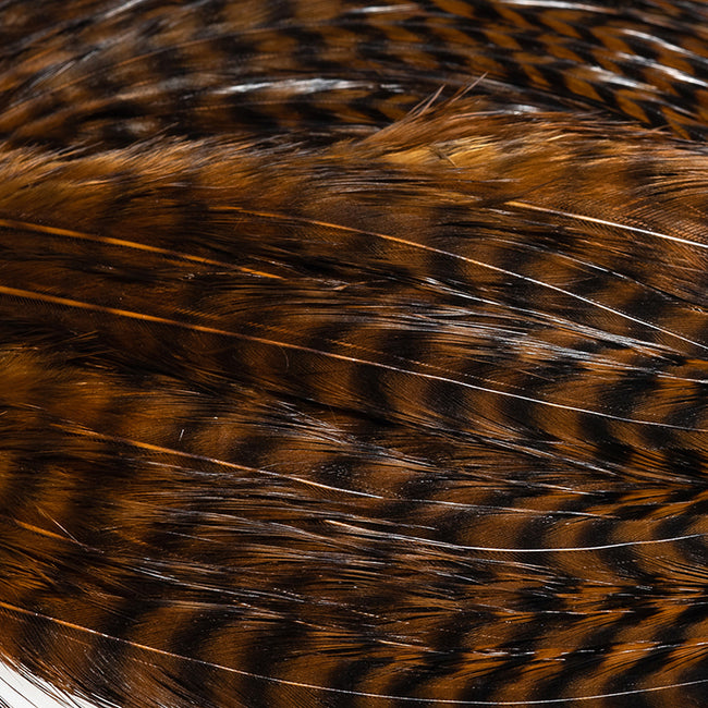 Bugger Hackle Patches