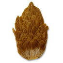 soft-hackle-hen-saddle-patch