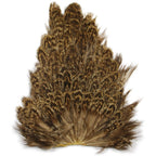 speckled brown