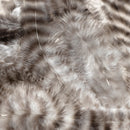 grizzly-soft-hackle_NATL