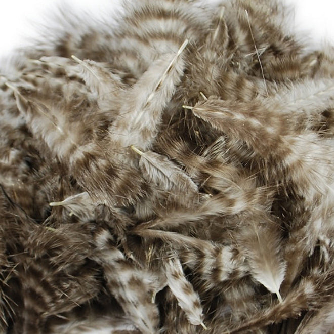 grizzly-marabou