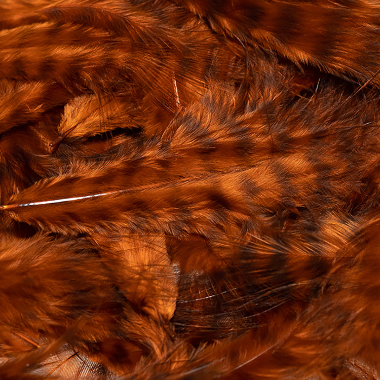 grizzly-marabou_BUOR