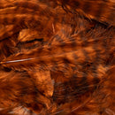 grizzly-marabou_BUOR