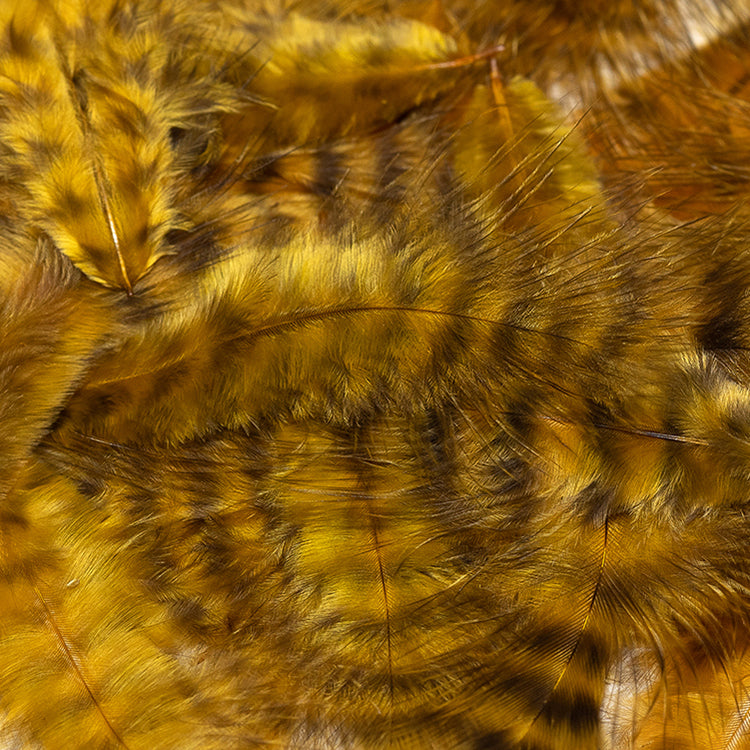 grizzly-marabou_GOBR