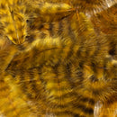 grizzly-marabou_GOBR