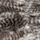 grizzly-marabou_NAGR