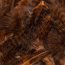 grizzly-marabou_NBRW