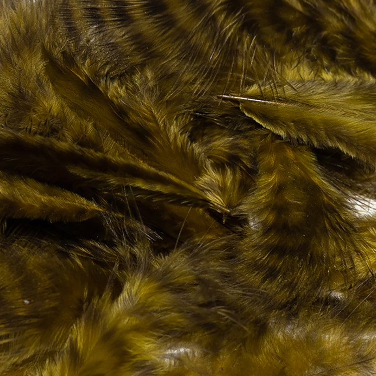 grizzly-marabou_NOLI
