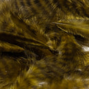 grizzly-marabou_NOLI