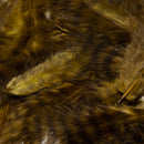 grizzly-marabou_SCOL