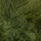 dark olive