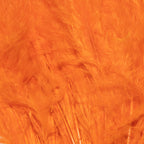 hot orange