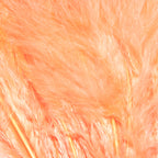 shrimp pink