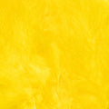 Extra Select Strung Marabou
