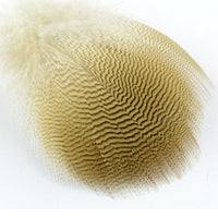 lemon-woodduck-flank-feathers_0000