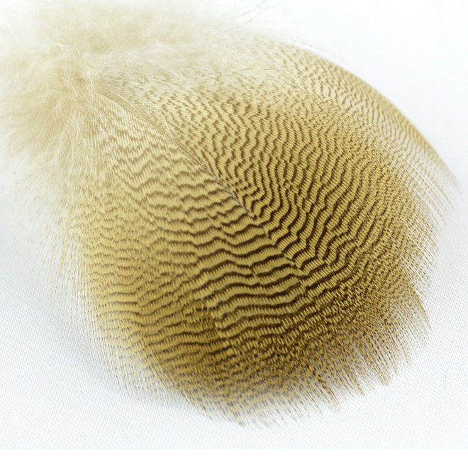 lemon-woodduck-flank-feathers_0000