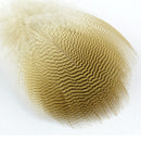 lemon-woodduck-flank-feathers_0000