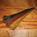 ringneck-pheasant-complete-tail