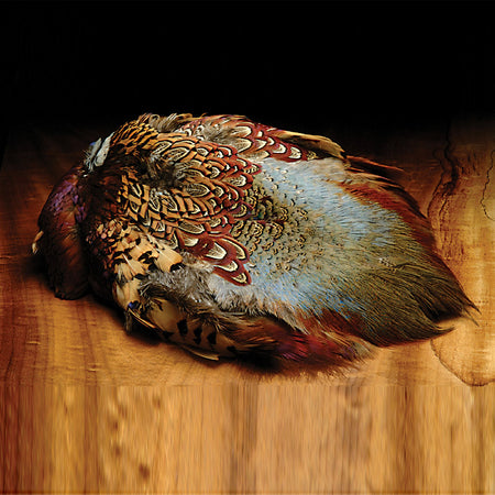 Ringneck Pheasant Skin