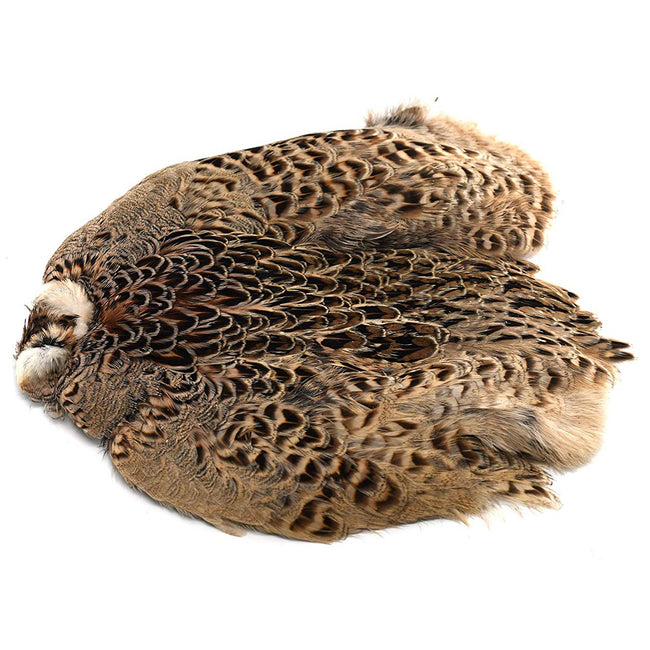 Hen Ringneck Pheasant Skin