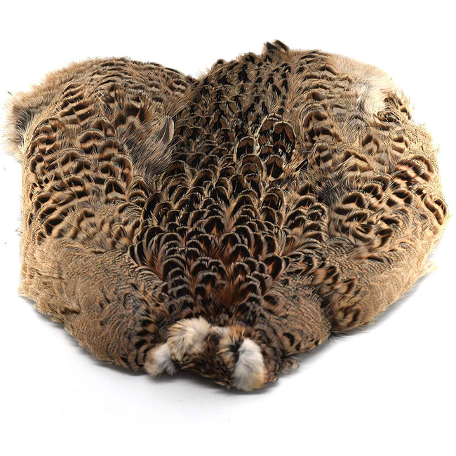 Hen Ringneck Pheasant Skin