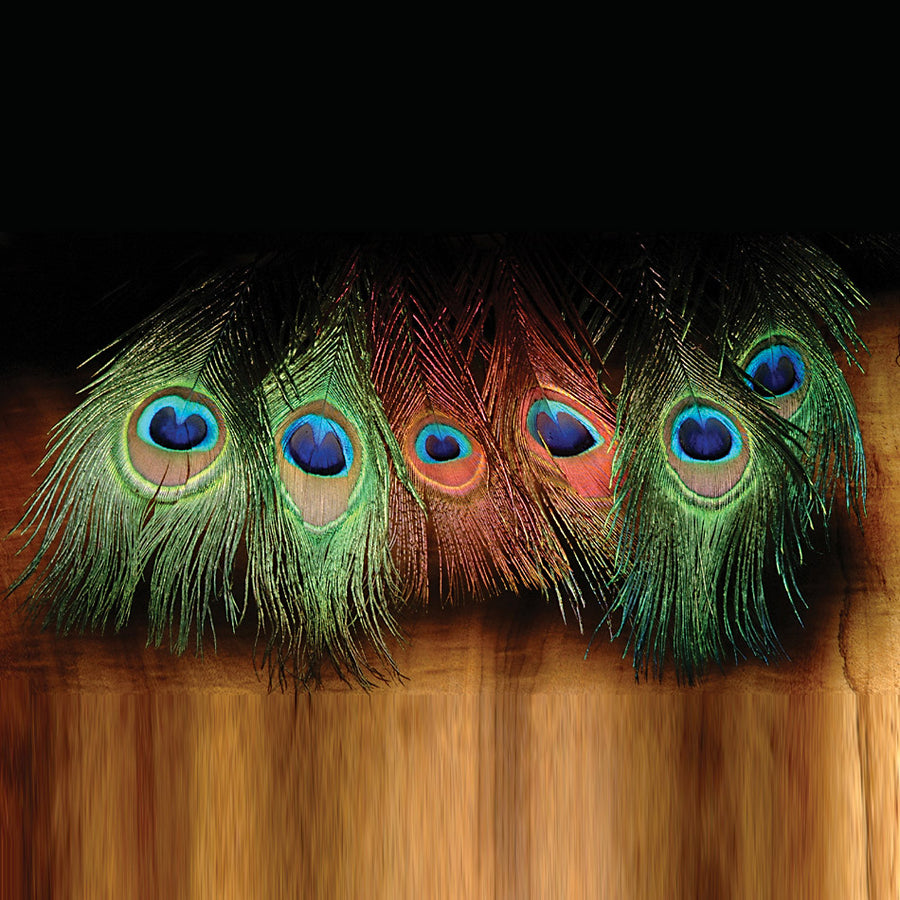 Hareline Peacock Eyed Sticks - Black, image size:900x900