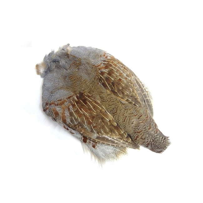 Hungarian Partridge Skin - Grade